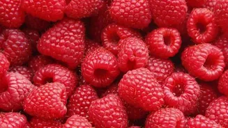 Quick fix: Raspberry nut butter wrap