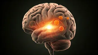 Navigating Health: Expert Insights on Aging, Hormones, and Nutrition