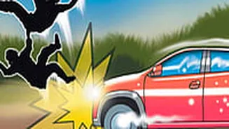 Indore News: Youth Killed, Friend Injured After Being Hit By Truck