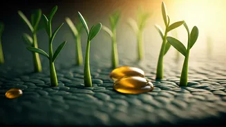 Revitalize Bald Patches: A 30-Day Ayurvedic Oil Routine for Natural Hair Regrowth