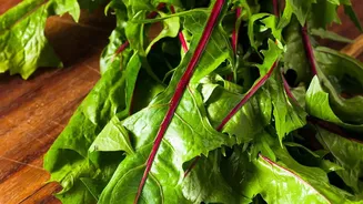 Fibre-Gating Method: How Leafy Greens Moderate Carbohydrate Metabolism For Lasting Stamina