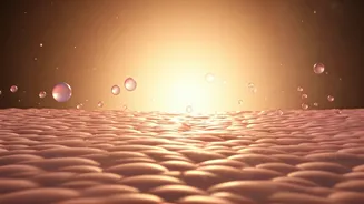 Why Ceramide Creams Are Suddenly Everywhere