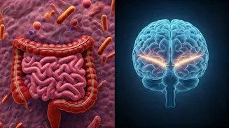 Your Gut's Whispers: Early Parkinson's Clues Beyond Tremors