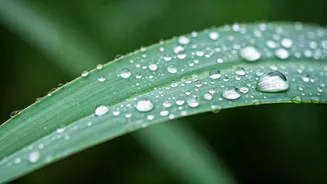 Monsoon Humidity Calls For Smarter Skincare Choices