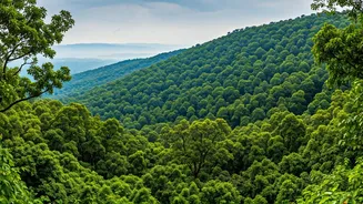 Bypass Commercial Mountain Destinations For Secluded Eastern India Forest Ridges