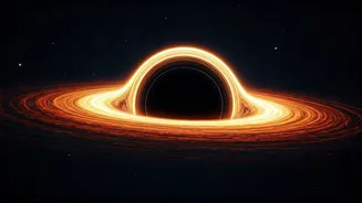 What A Real-Time Waking Black Hole Teaches Astronomers