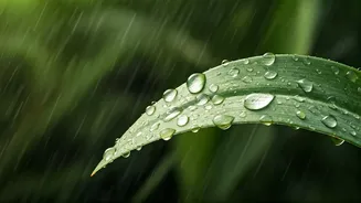 Doctors Want Fewer Rainy-Season Gut Mistakes