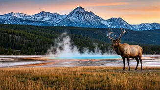 Yellowstone Unveiled: Your Essential Guide to the World's First National Park