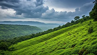 Monsoon Travel Needs More Gujarat In It