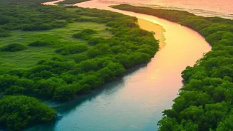 Sundarbans Mangrove Defense: Using Sensor Technology To Monitor Tidal Surge Vulnerabilities