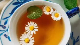 From Mint To Chamomile: Herbal Beverages That Deliver Maximum Hydration And Stress Relief
