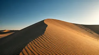 Desert Travel Gets Cooler With Sandboarding Energy