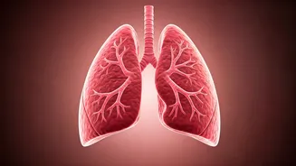 Lung-Function Findings Need A Plain Explainer