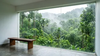 How To Explore Wayanad Rainforest Homestays Safely During Heavy Monsoon Rains