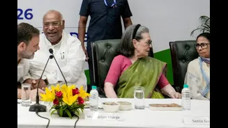 Rahul's '100% Rigged' Charge, Sonia's 'Sherni' Praise: Under Fire At Home, Didi Gets INDIA Lifeline