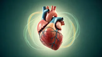 Unlock Inner Calm: Natural Stress Management for Hypertension with Pranic Healing