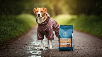 Why Healthy Pet Feeds Promote Custom Raincoat Orders