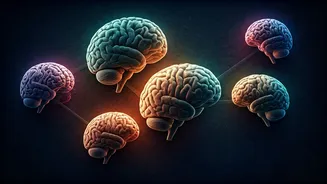 Decoding the 10 Psychological Behaviors: Unveiling Intentions