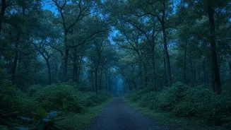Lucknow’s First Urban Night Safari Marks A Major Milestone For Indian Wildlife Tourism