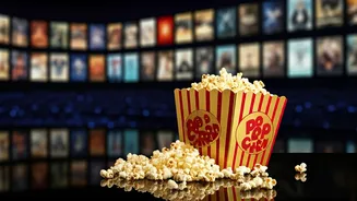 Bollywood's Box Office Buzz: A Glimpse at the Latest Trends