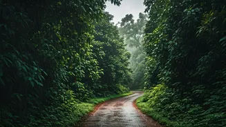 Rainy Kerala Has Entered The Slow-Travel Chat