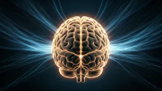 Vitamin D Deficiency: A Hidden Culprit Fueling Alzheimer's Risk? Exploring the Brain Health Connection