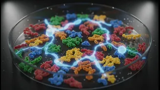 How sugar substitutes impact glucose tolerance by altering internal intestinal bacteria profiles