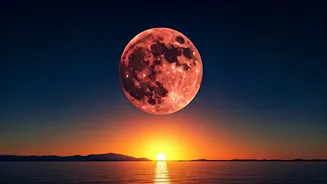 Related Stories banner