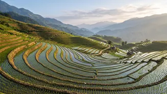 A New Chennai Route To Southeast Asia: What To Know