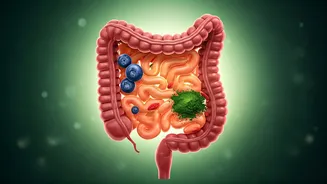 Related Stories banner