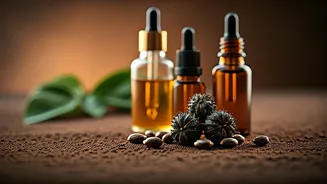 5 Best Oils to Boost Eyebrow Growth with Castor Oil for Luscious Brows