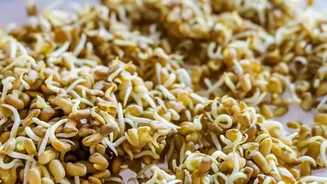 How to add sprouted fenugreek seeds to your diet