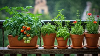 Monsoon Makes Small-Space Growing More Forgiving