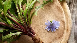 FSSAI's Updated Coffee-Chicory Label Rule Brings Pack-Label Comparisons Onto The Shopping Checklist