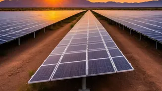 India's Latest Agrivoltaics Drive Leaves Farmers and Policymakers with One Main Check: Crop Shade