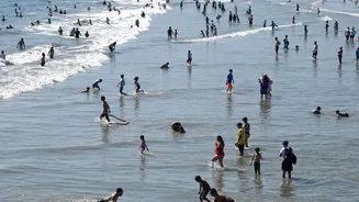 Calor extremo no Brasil vai durar um terço do ano até 2075