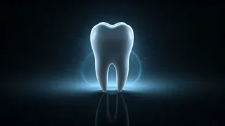 Related Stories banner