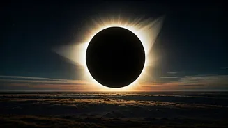 Related Stories banner