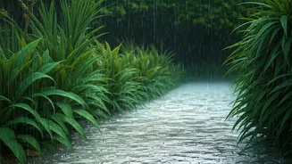 Rain Relief In UP And Uttarakhand Sparks Viral Reels