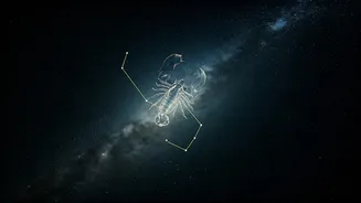 Scorpio's Stellar Day: January 20, 2026