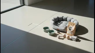A Pet Welcome Kit Is Useful, But Clear Rules Matter More