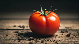 Below-Normal Rain Could Nudge Kitchen Costs Up