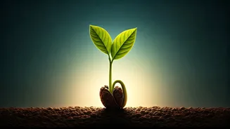 Unlock Your Potential: 5 Transformative Parenting Lessons from Brahma Kumaris