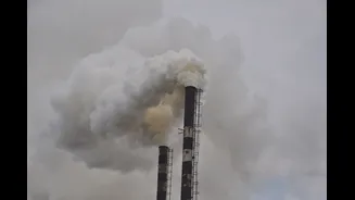 Understanding Climate Change's Impact on Public Health in India