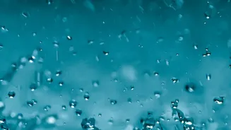 This Week's Rain-Alert Update Adds Another Reason to Track Flexible Check-In