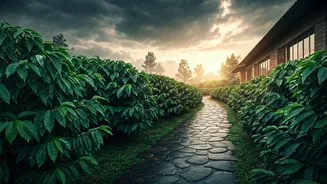 Inside Dreamy Coffee Estates Redefining Indian Monsoon Hospitality