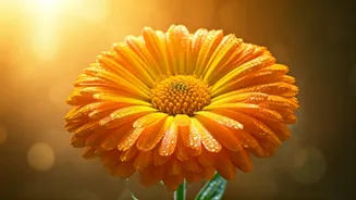 Happy Hanuman Jayanti 2026: 65+ Wishes to Share Strength, Devotion & Joy