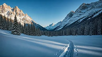 Discover Engadin Valley: Switzerland's Premier Snowshoeing Adventure Awaits!