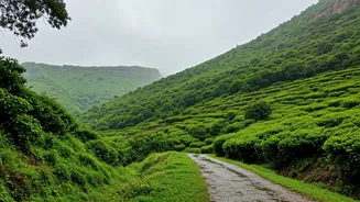Rajasthan In July Needs Better Travel Attention