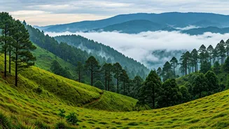 Pristine Green Vagamon Valleys Are The Ultimate Offbeat Monsoon Retreat